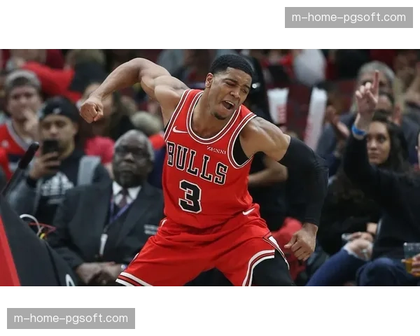 北京男篮报价杰弗森 补强小前锋位置提升实力